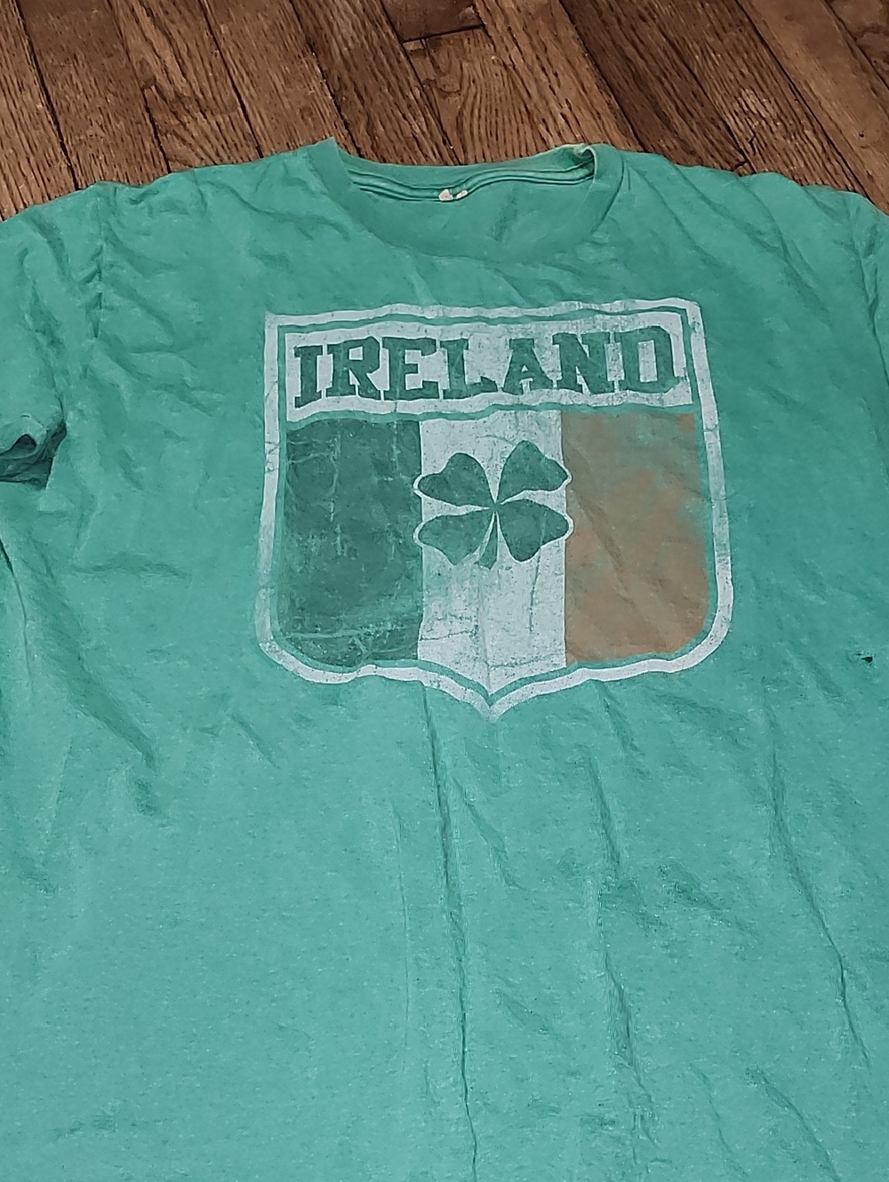 Vintage-Style Ireland Shield Graphic Tee in Seafoam